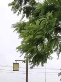 成都週末反向旅遊
