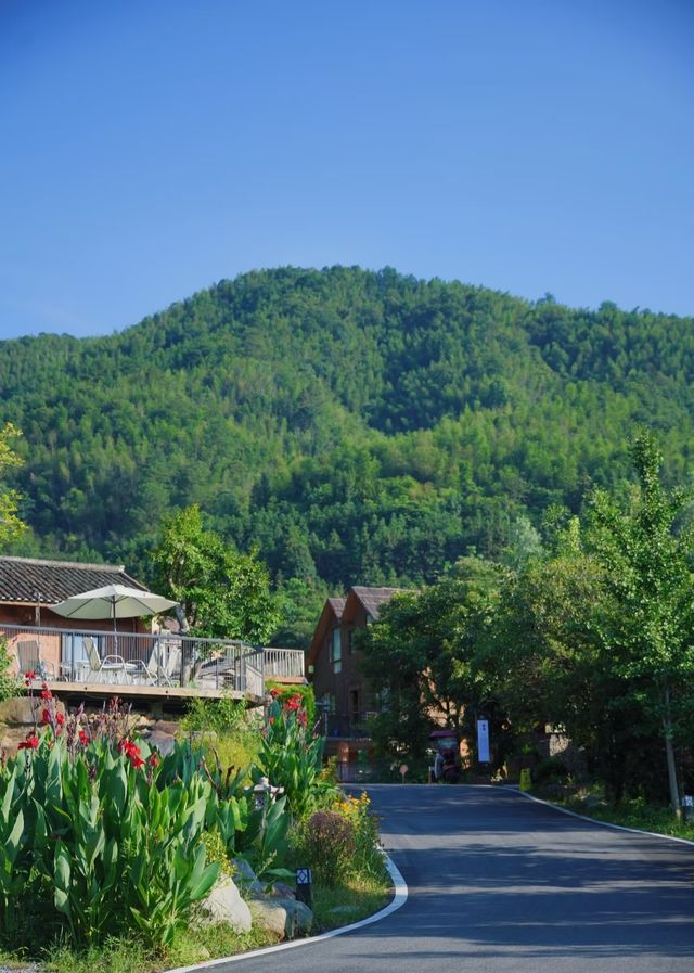 瀏陽私藏!住進宮崎駿同款童話森林,這才是鬆弛感天花板 瀏陽私藏!住進宮崎駿同款童話森林,這才是鬆弛感天花板
