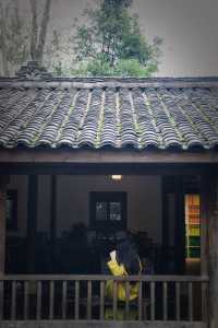 漢中 | 瞿家大院 |好像真的穿越了