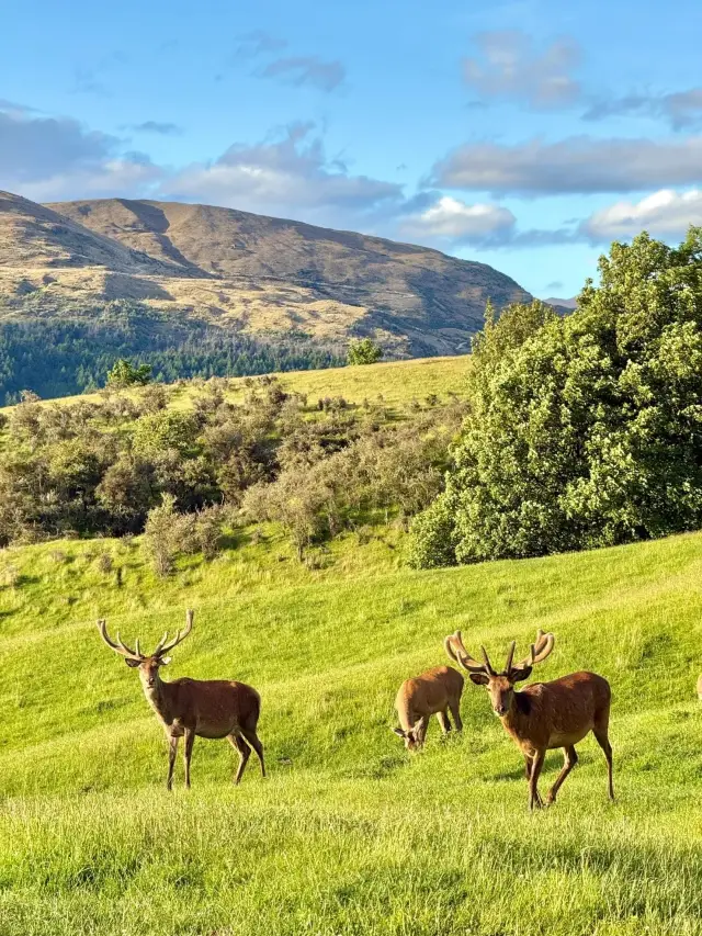 The Most Beautiful November in New Zealand: A Local Guide Tells You the Best Ways to Explore