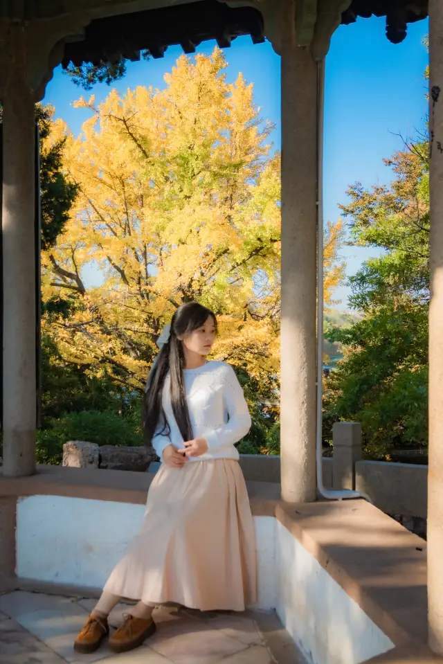 Yangzhou | Start looking forward to the autumn scenery of Shouxihu with layered green and flowing gold