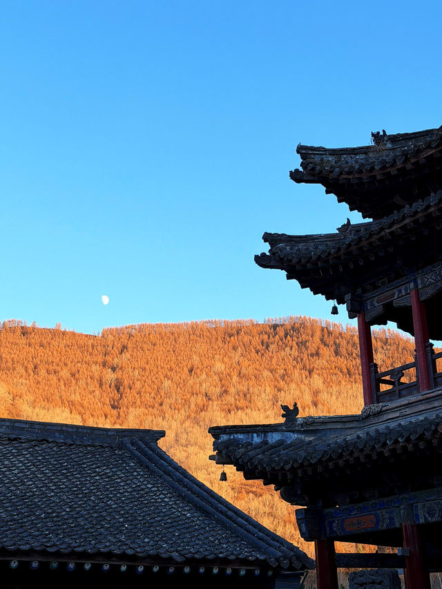 五臺山祈福全攻略|赴一場文殊之約,願六時吉祥 五臺山祈福全攻略|赴一場文殊之約,願六時吉祥