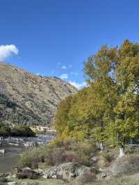 10月川西，赴一場光與金黃的約會