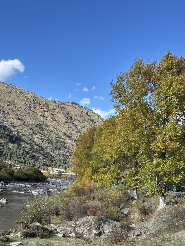 10月川西，赴一場光與金黃的約會