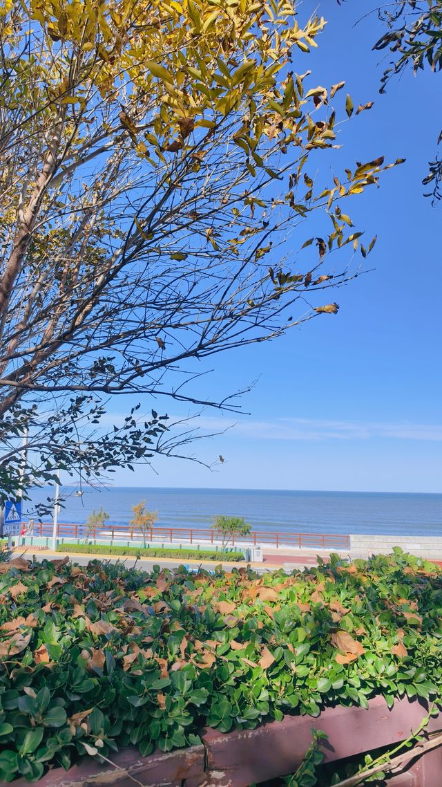 絕美海岸線發呆指南 絕美海岸線發呆指南