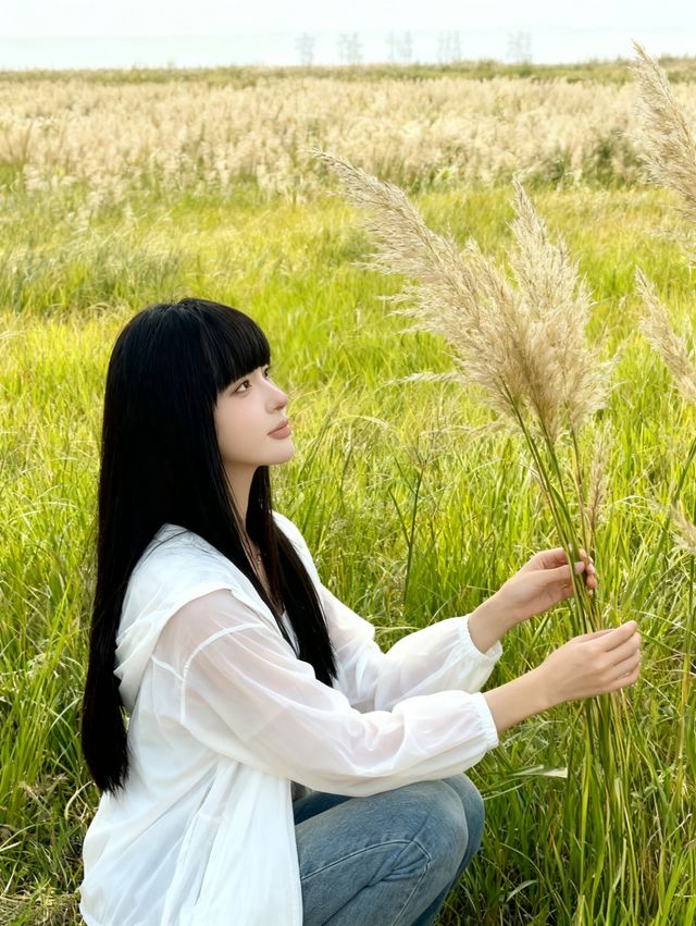 上饒3日遊 | 望仙谷與三清山經典組合・全人群適配攻略