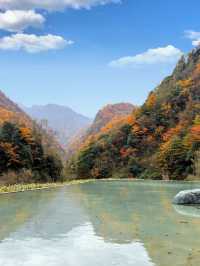 藏在深山的「天然基因庫」，正在上演最絢爛的色彩。