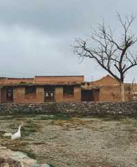 鴻達酒店的免費停車場真能處