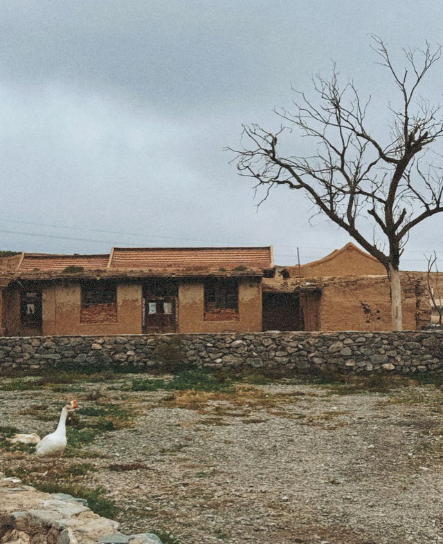 鴻達酒店的免費停車場真能處 鴻達酒店的免費停車場真能處