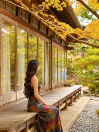 奈良紅葉季一日暴走攻略,美到窒息!