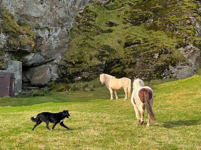 冰島維克教堂+塞里雅蘭瀑布自駕遊絕美機位大公開！