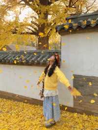 Live實況來青島拍到了18張人生照片！！