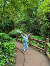 帶娃吸氧去!成都1.5h直達的森林徒步路線