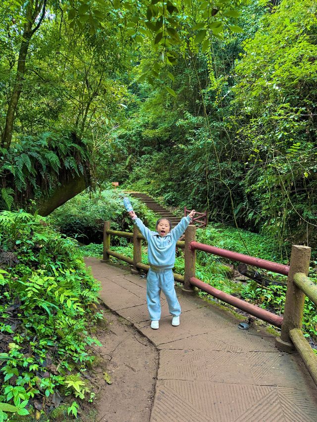 帶娃吸氧去!成都1.5h直達的森林徒步路線
