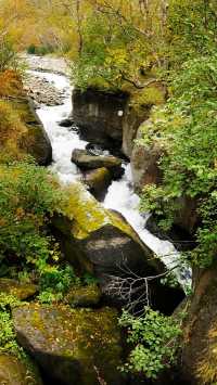 長白山峽谷徒步攻略