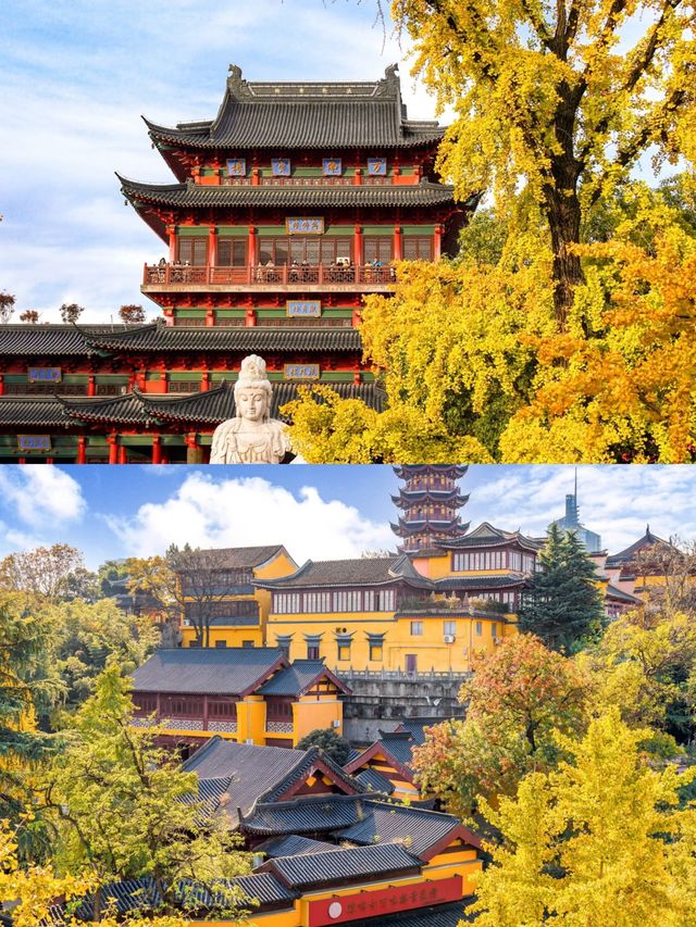 一句梧桐美，種滿南京城