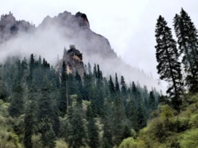 絕美仙境甘南扎尕那｜雲霧繚繞的隱世秘境