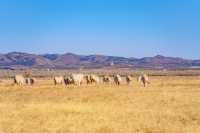呼市小眾雪景｜紅石崖美到心巴上