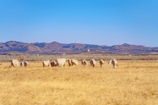 Hidden Snow Scenery in Hohhot｜Red Stone Cliff is Stunning to the Heart