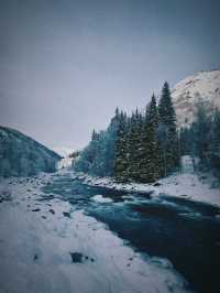 新疆阿勒泰喀納斯冰雪仙境｜初雪飄落美到窒息