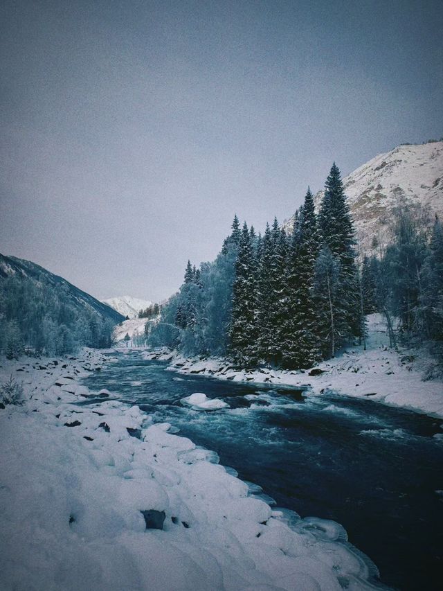 新疆阿勒泰喀納斯冰雪仙境｜初雪飄落美到窒息