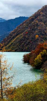 藏寨秋遊好去處