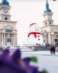 當雪花飄落時，哈爾濱的景色最為美麗
