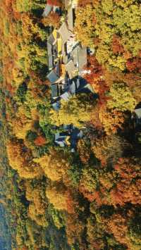 南京靈谷寺賞秋秘境