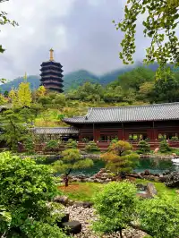 這是我花5蚊雞就能看到的景色？！？！