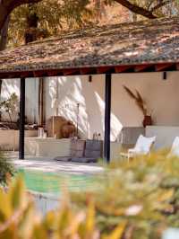 莫干山秋天的2種打開方式(附路線攻略)