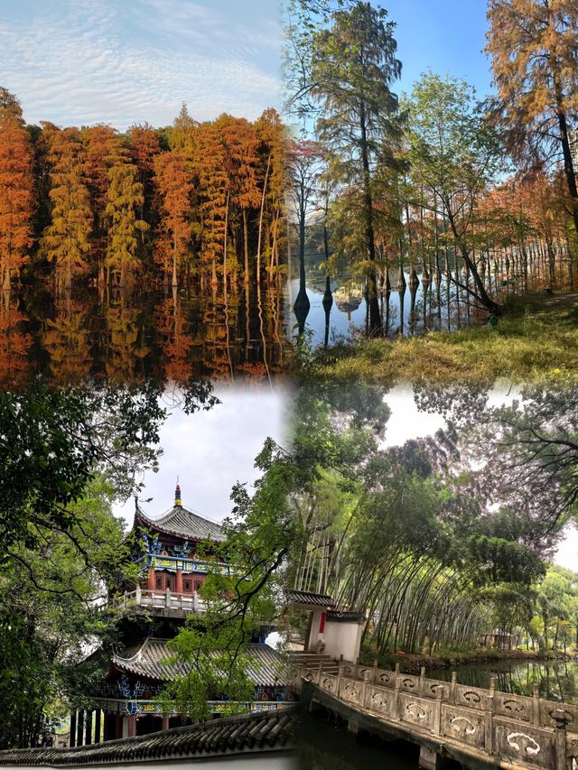 武漢週末出逃計劃！2h直達的4個寶藏地，小眾不撞款  打工人週末續命指南  親測高鐵/自駕均不超