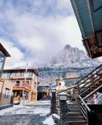 秋日限定甘南等地要去錯過等一年