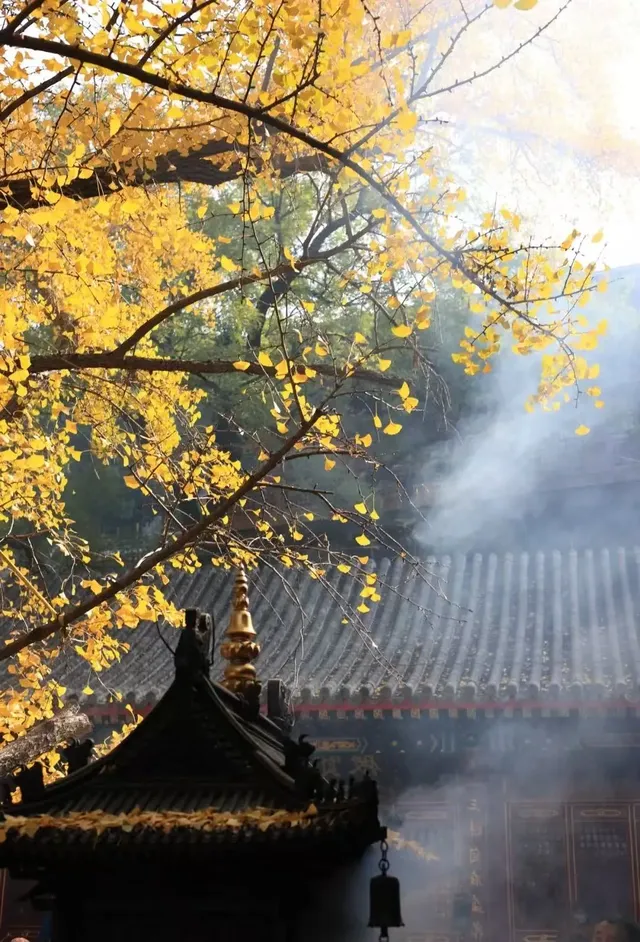 秋日國清寺:在千年古剎尋一份靜謐 秋日國清寺:在千年古剎尋一份靜謐