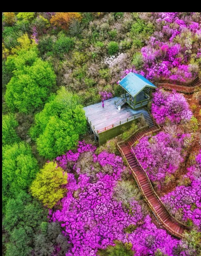 秦皇島青龍縣祖山旅遊攻略: 秦皇島青龍縣祖山旅遊攻略: