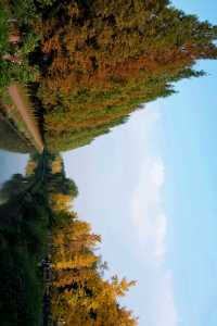 成都市區免費公園 | 升仙湖Citywalk