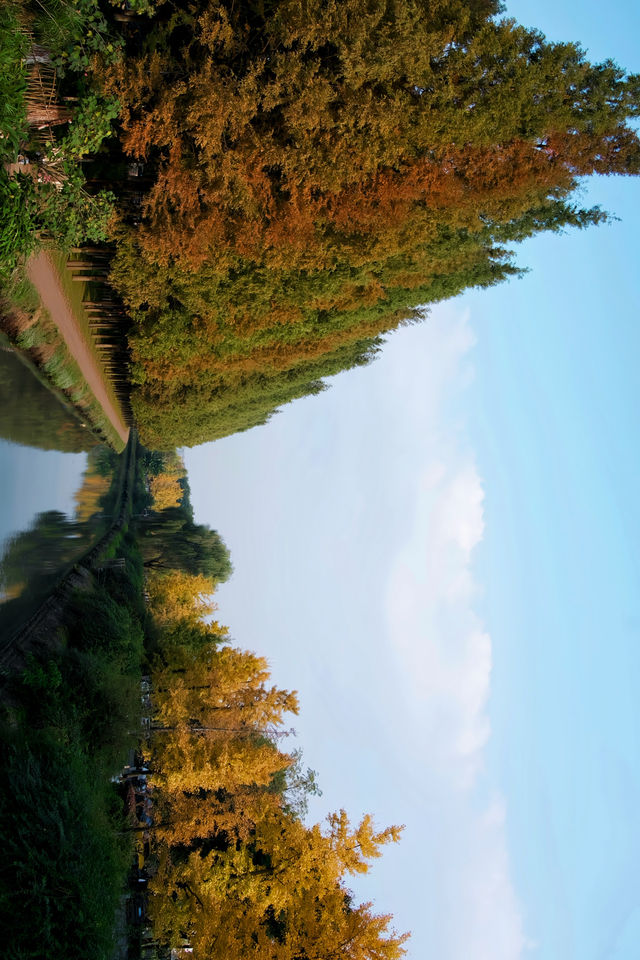 成都市區免費公園 | 升仙湖Citywalk