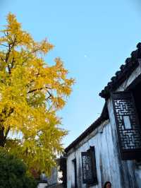 惠山古鎮免費遊玩攻略！秋日限定美景+精華路線