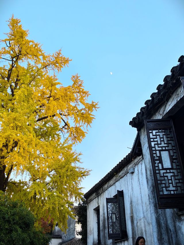 惠山古鎮免費遊玩攻略！秋日限定美景+精華路線