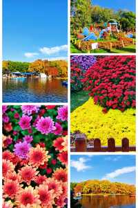 超全攻略!冬日共青森林公園賞秋絕了