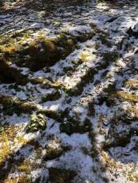 剛從轎子雪山回來,血淚教訓能救一個是一個