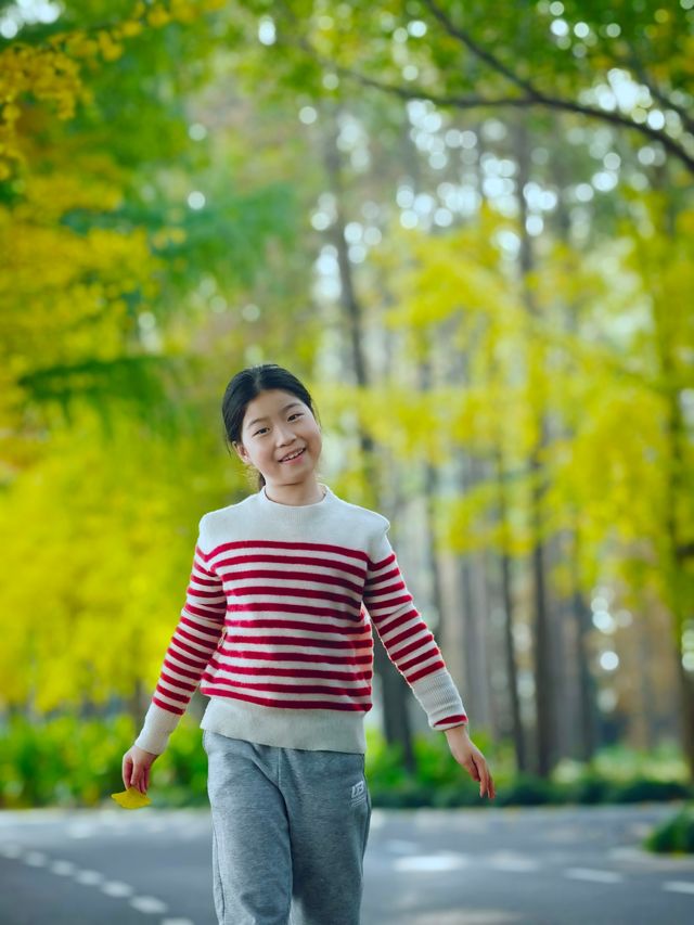 崇明島明珠湖｜秋日私藏的金色童話秘境！