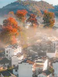 比起黃山,我更愛國家地理推薦的這座寶藏仙山