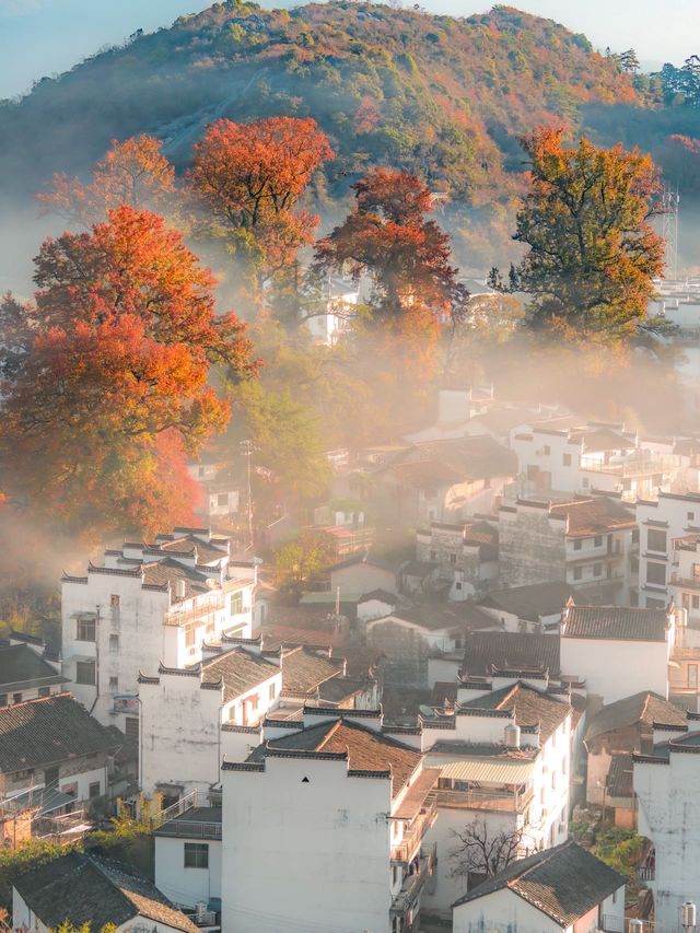 比起黃山,我更愛國家地理推薦的這座寶藏仙山 比起黃山,我更愛國家地理推薦的這座寶藏仙山