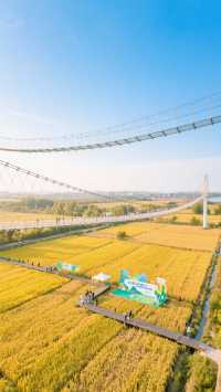 宮崎駿粉絲必去魔法稻田！