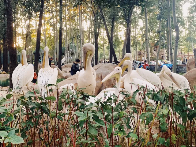 北京大興野生動物園-值得N刷