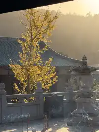 美得不像在莆田!朋友圈都在問的超絕秋景