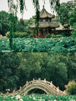 Can you believe it? I accidentally fell in love with a "living" Qing Dynasty ancient city while trying to eat donkey meat
