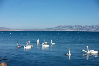 แบ่งปันภาพถ่ายล่าสุดของทะเลสาบ Sayram