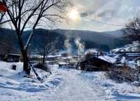 雪谷生存指南:零下30℃的童話世界,南方人也能活下來!