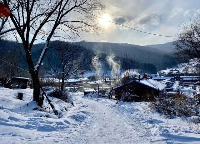 雪谷生存指南:零下30℃的童話世界,南方人也能活下來! 雪谷生存指南:零下30℃的童話世界,南方人也能活下來!